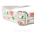 Design Nylon Dog Collar And Leash Set Wholesale